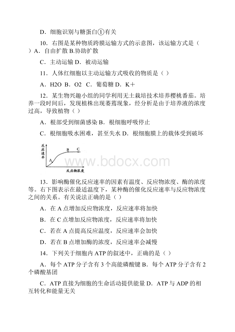 广东省韶关市新丰县第一中学学年高一下学期期中考试生物试题 Word版含答案.docx_第3页