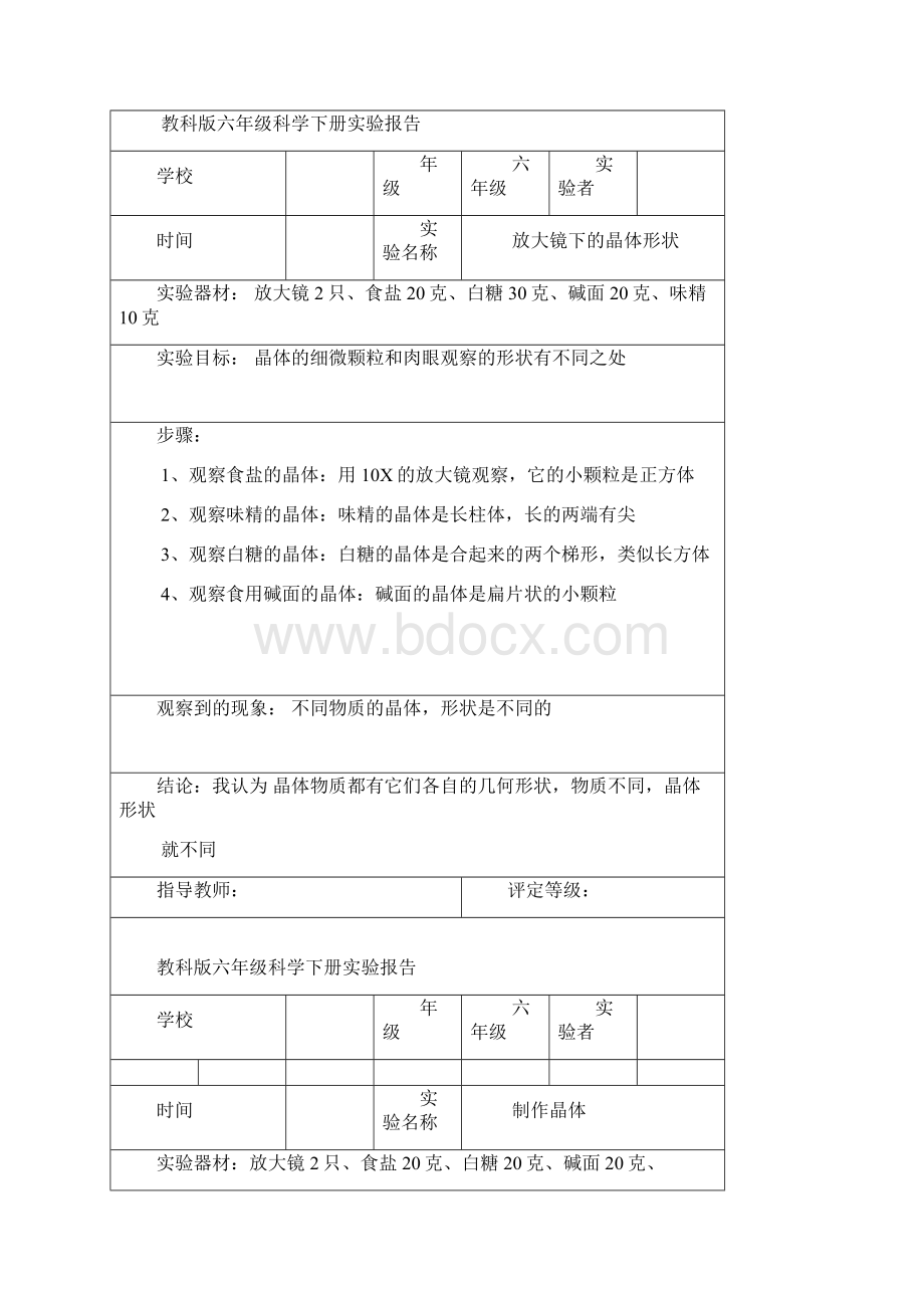 教科版六年级科学下册实验报告单全.docx_第2页