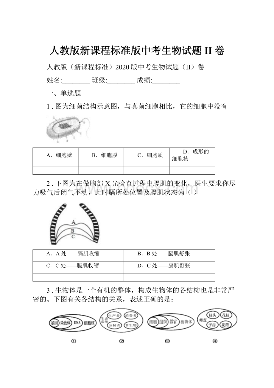 人教版新课程标准版中考生物试题II卷.docx