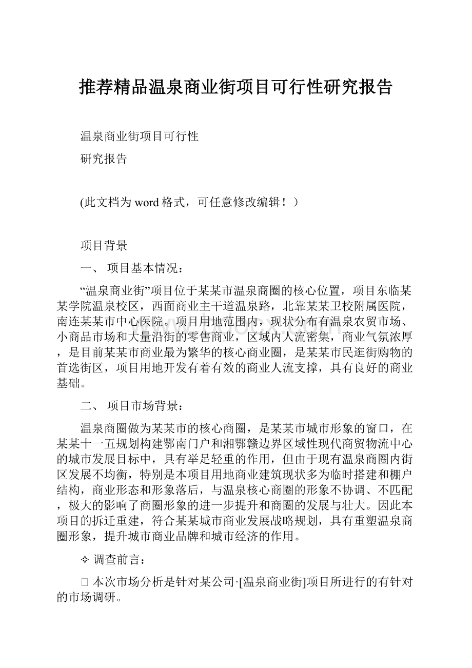 推荐精品温泉商业街项目可行性研究报告.docx