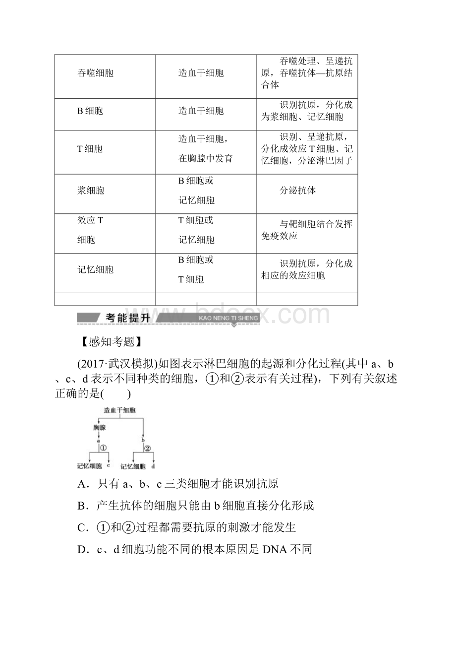 版高考生物复习生命活动的调节第33讲免疫调节学案.docx_第3页