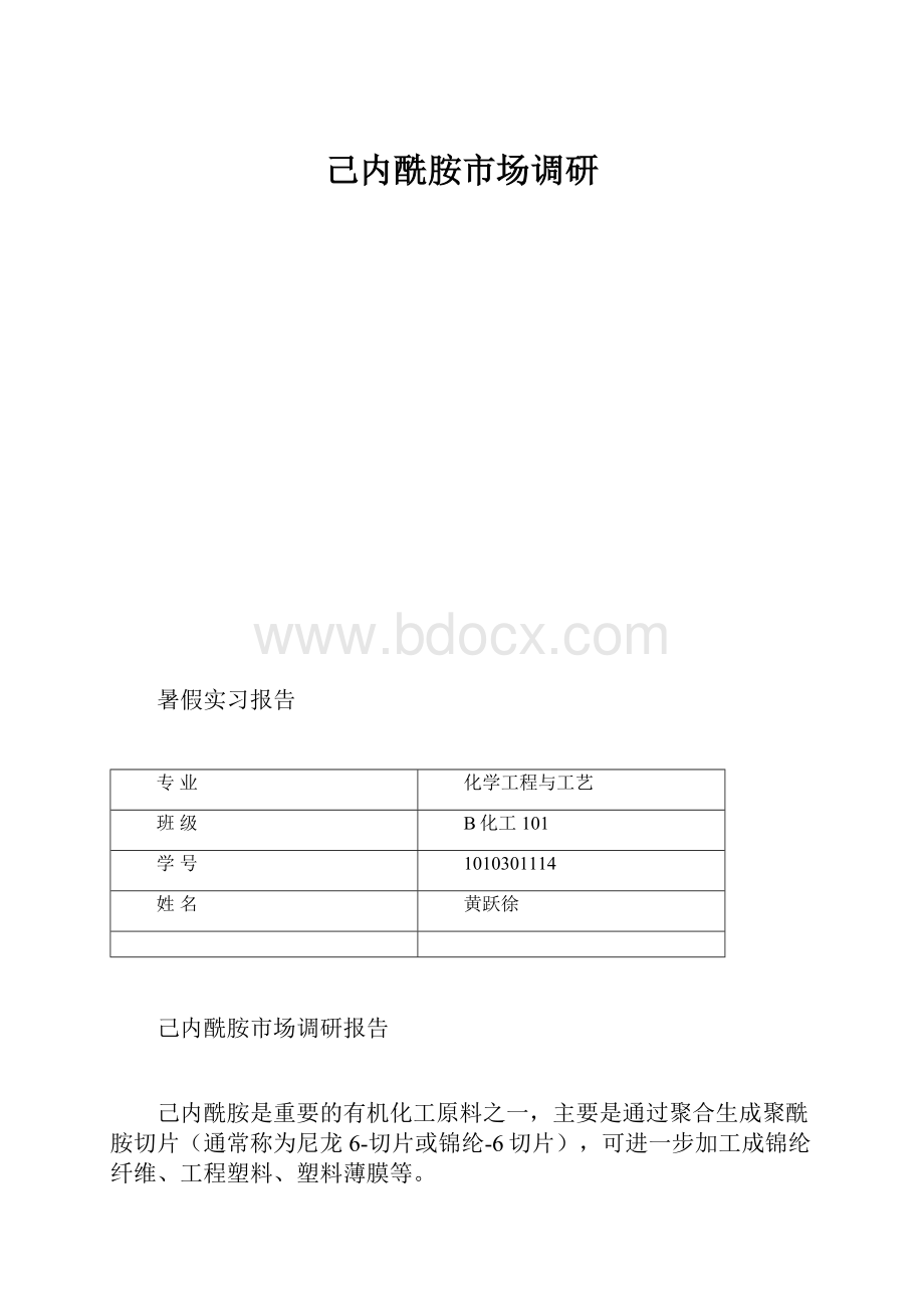 己内酰胺市场调研.docx_第1页