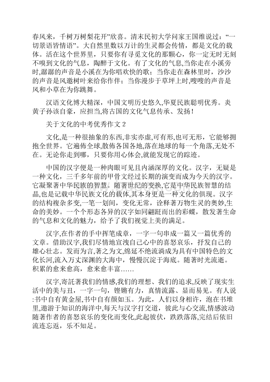 新文关于文化的中考优秀作文收藏.docx_第2页