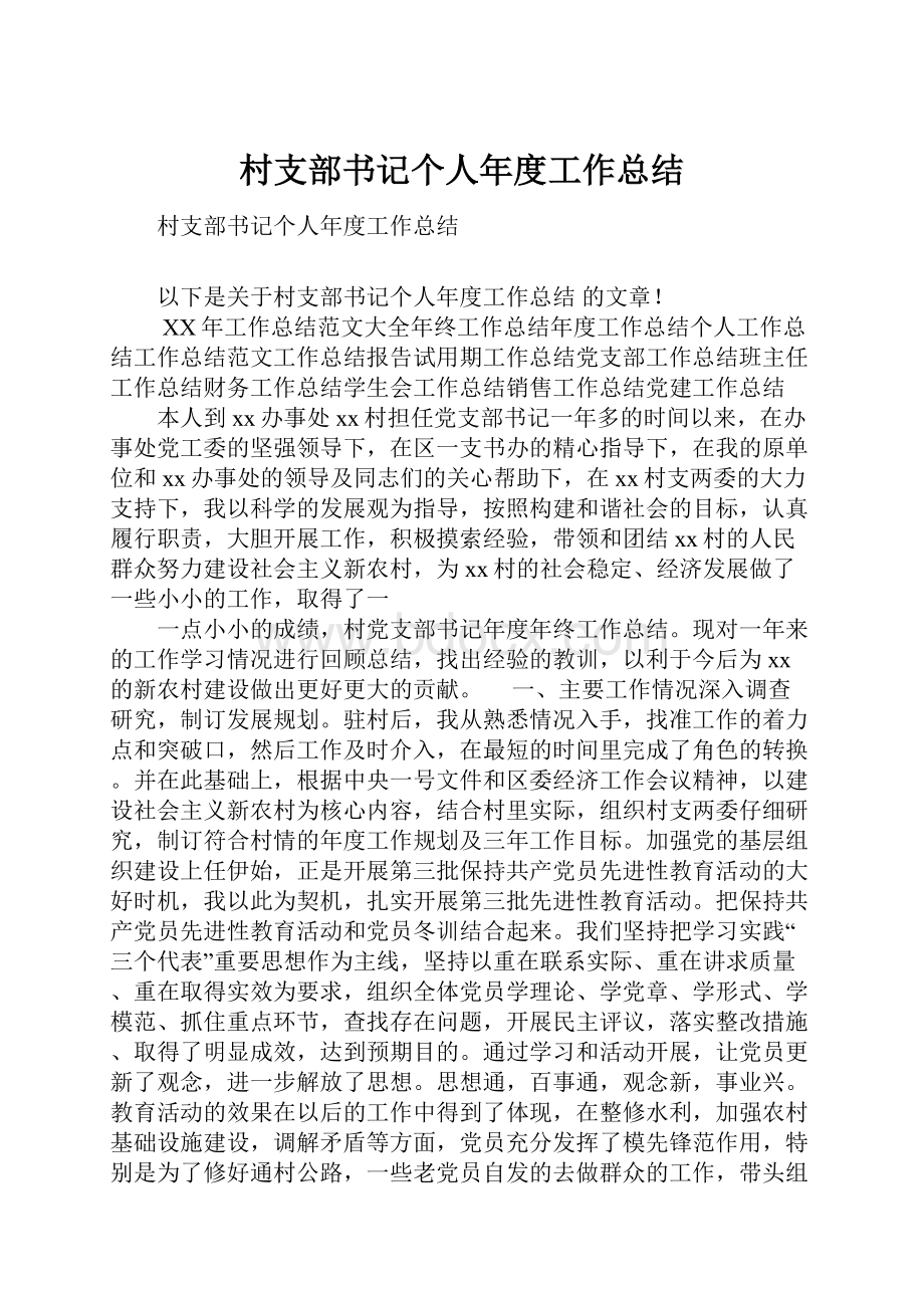 村支部书记个人年度工作总结.docx