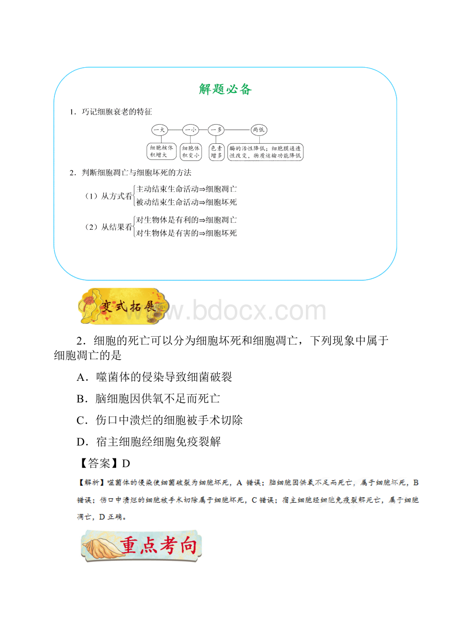 届一轮复习人教版 专题24 细胞的衰老凋亡和癌变 教案.docx_第3页