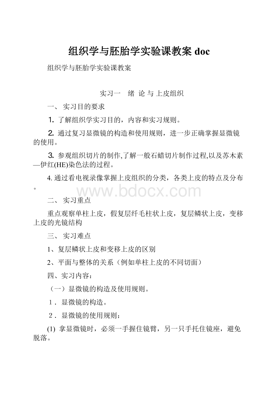 组织学与胚胎学实验课教案doc.docx