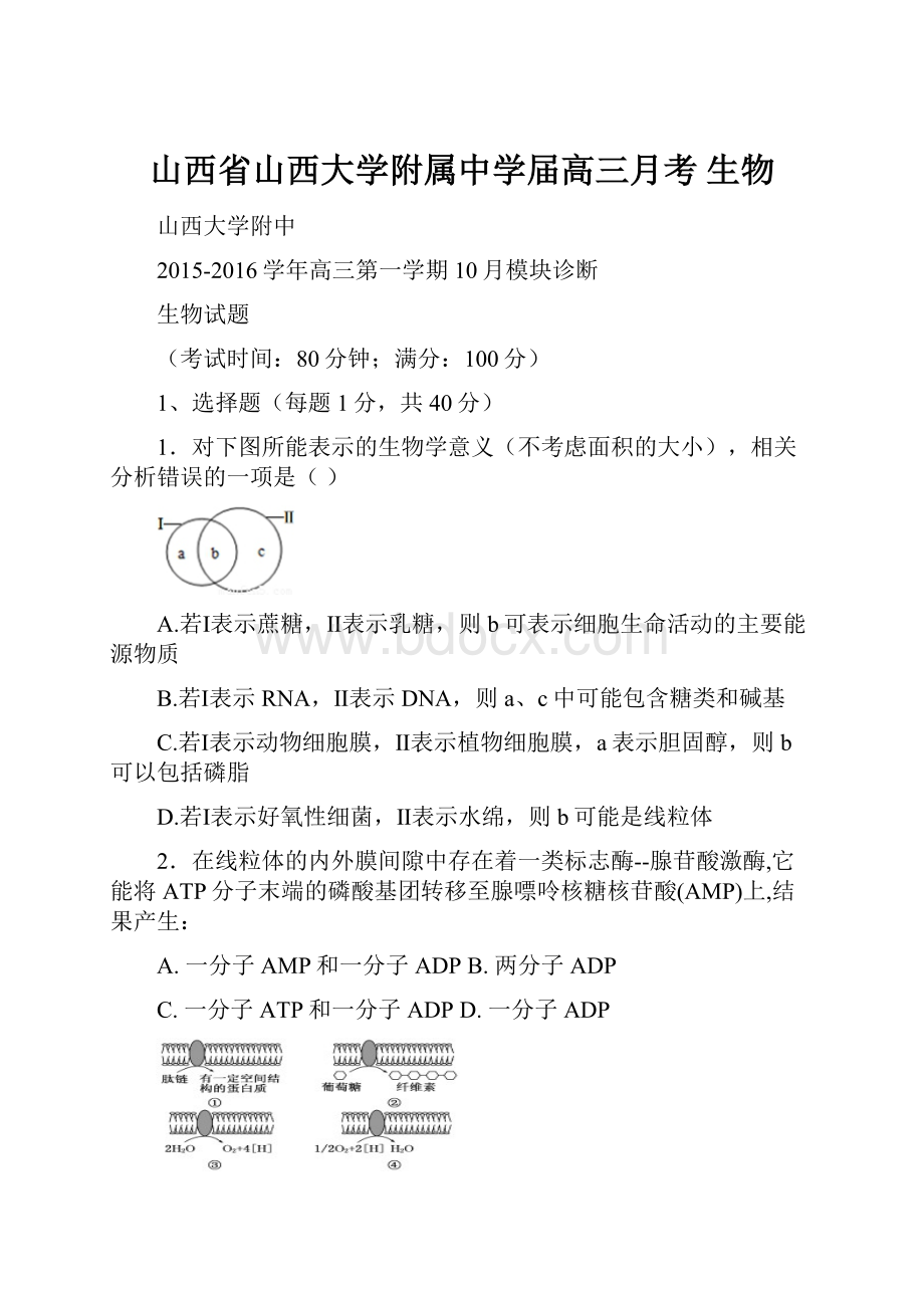 山西省山西大学附属中学届高三月考 生物.docx