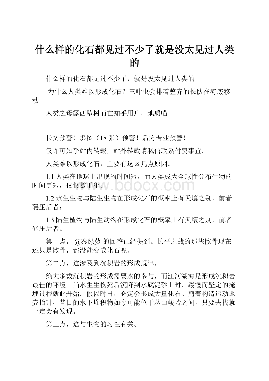 什么样的化石都见过不少了就是没太见过人类的.docx