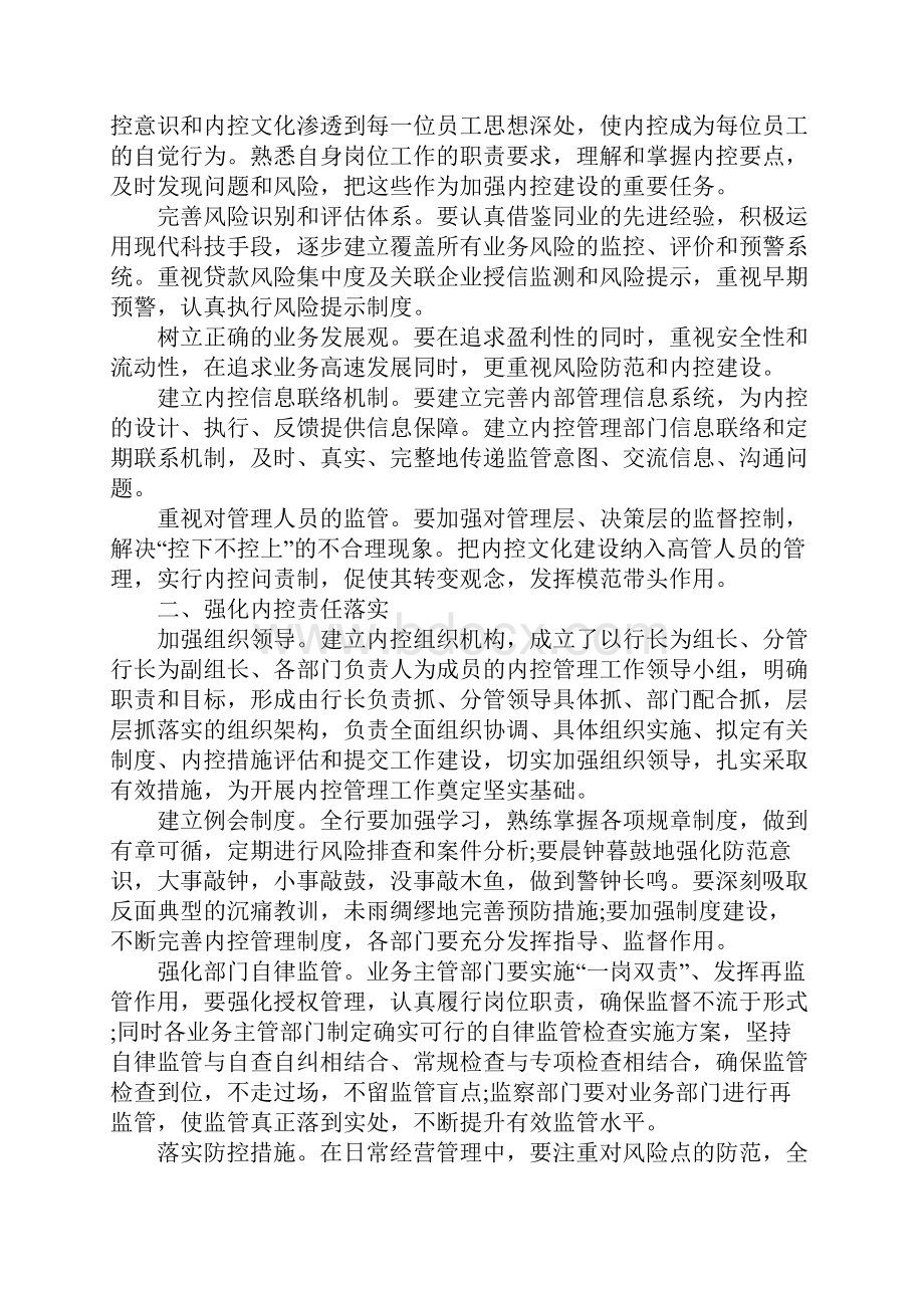 内控个人工作总结参考模板.docx_第2页