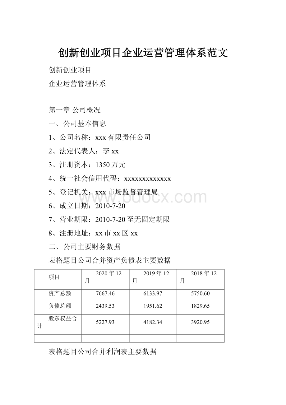 创新创业项目企业运营管理体系范文.docx