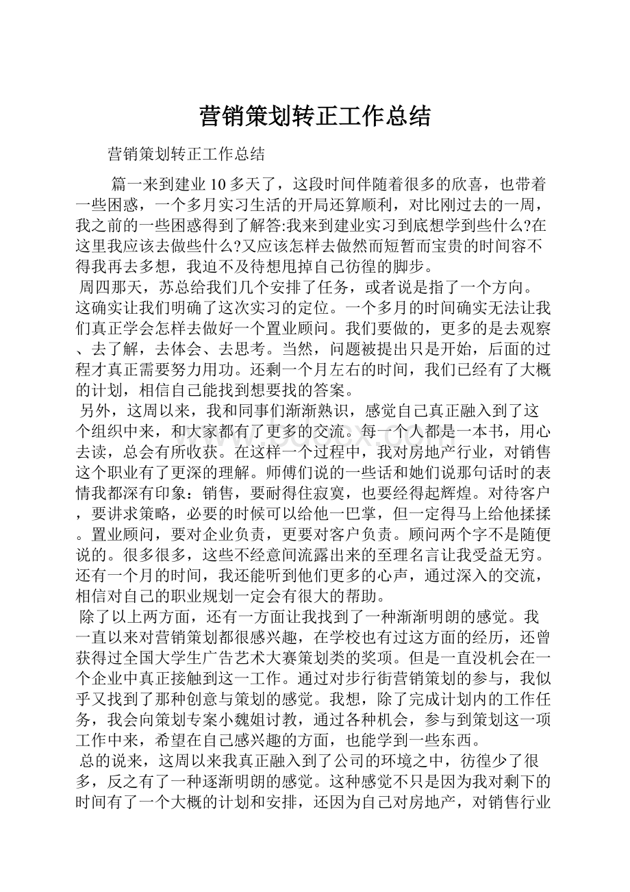 营销策划转正工作总结.docx