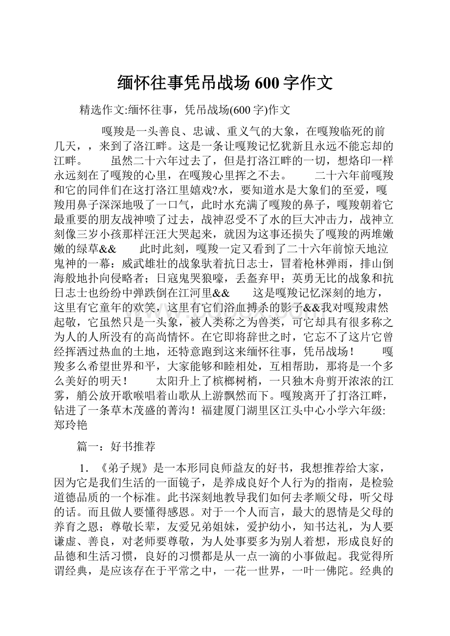 缅怀往事凭吊战场600字作文.docx