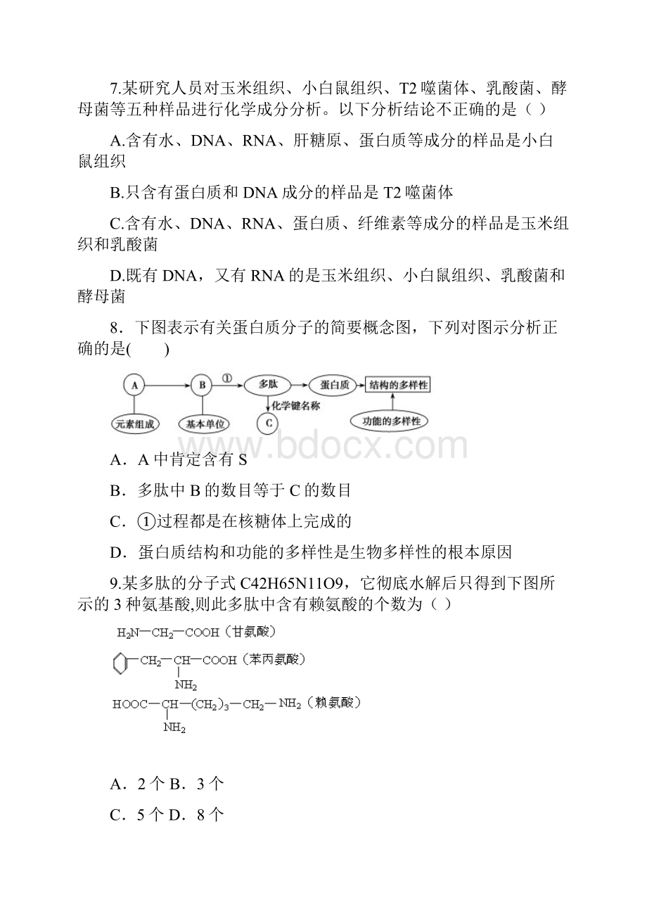 高三一轮复习必修1生物检测试题.docx_第3页