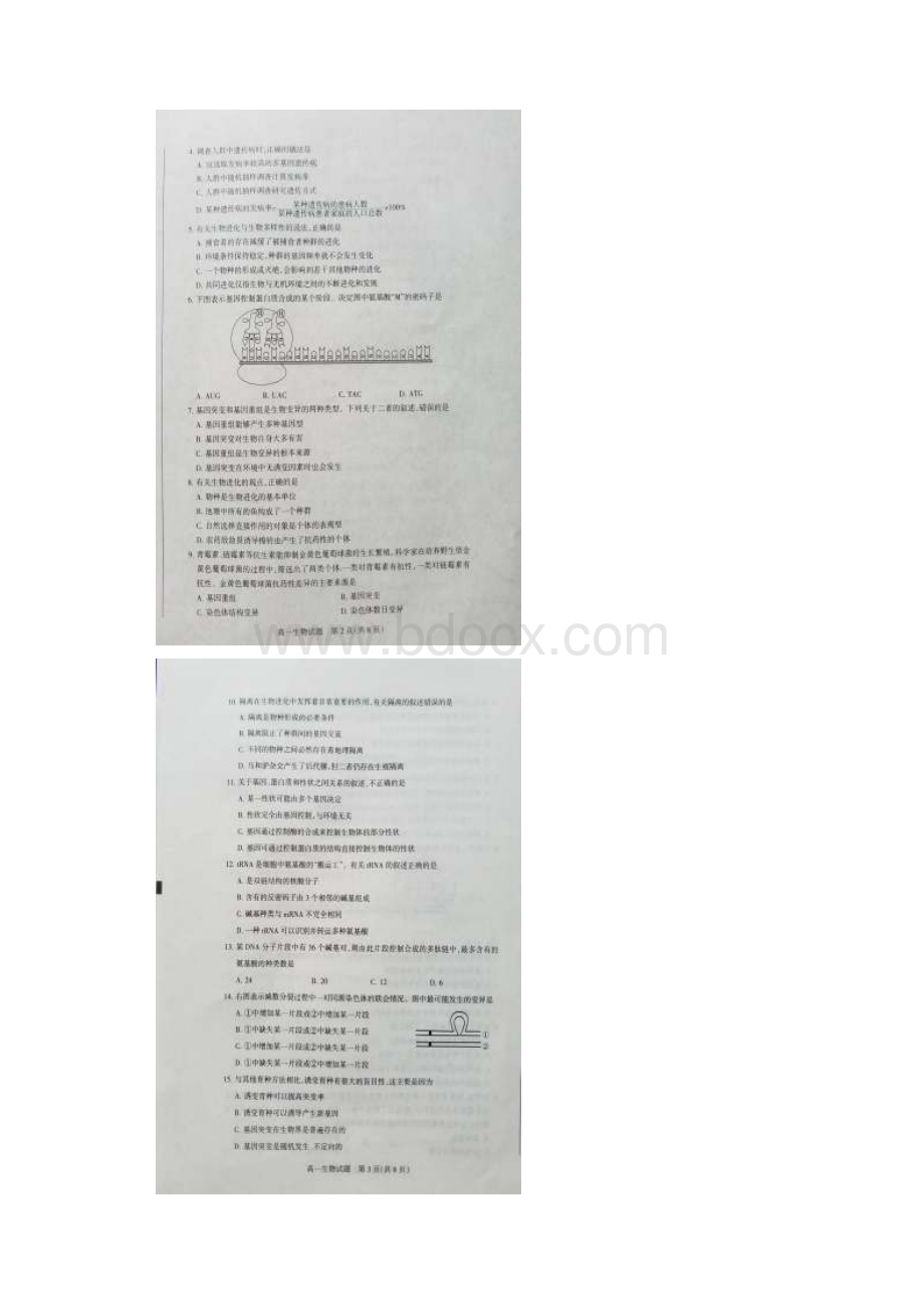 学年山西省晋城市陵川第一中学高一下学期期末考试生物试题.docx_第2页