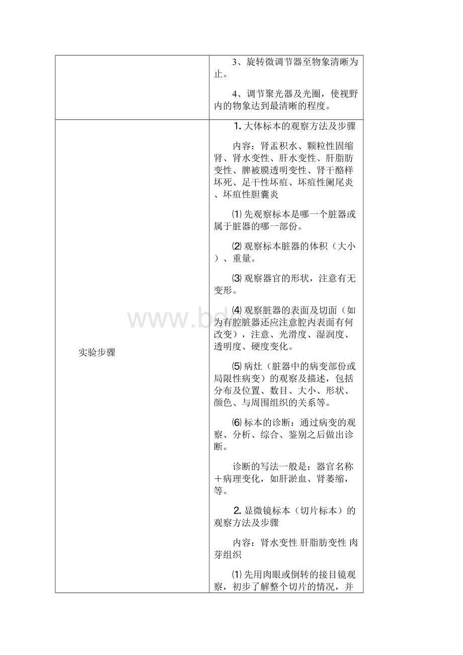 精品Mvesuh河南大学医学院病理实验教案.docx_第3页