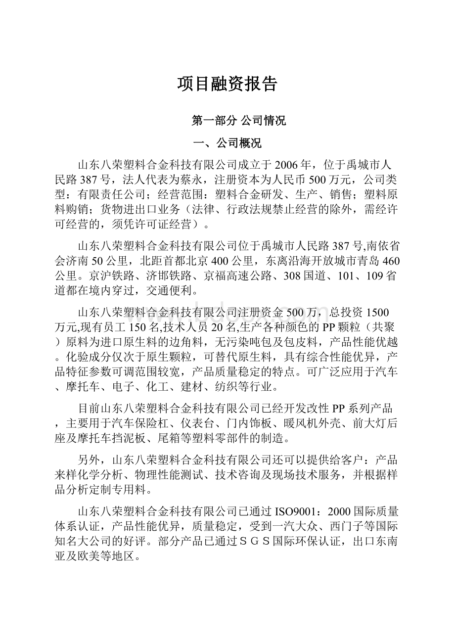 项目融资报告.docx