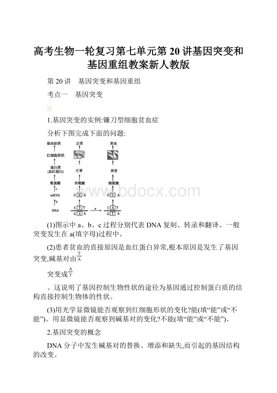 高考生物一轮复习第七单元第20讲基因突变和基因重组教案新人教版.docx