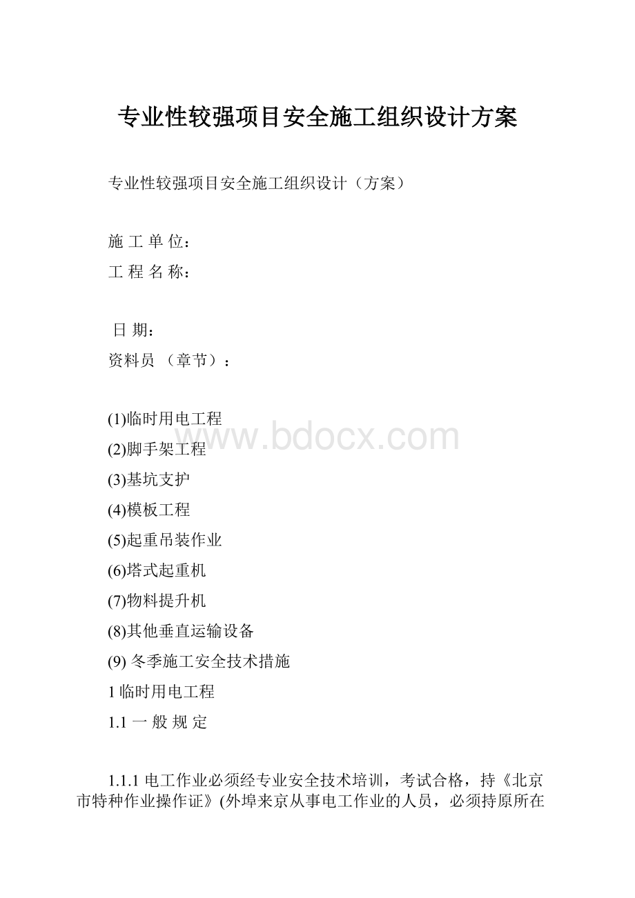 专业性较强项目安全施工组织设计方案.docx