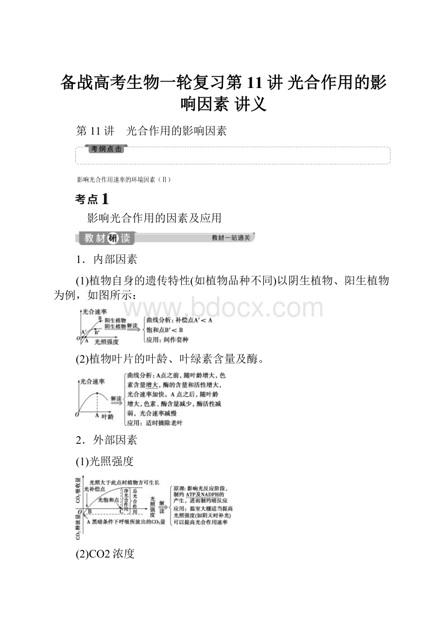 备战高考生物一轮复习第11讲 光合作用的影响因素 讲义.docx