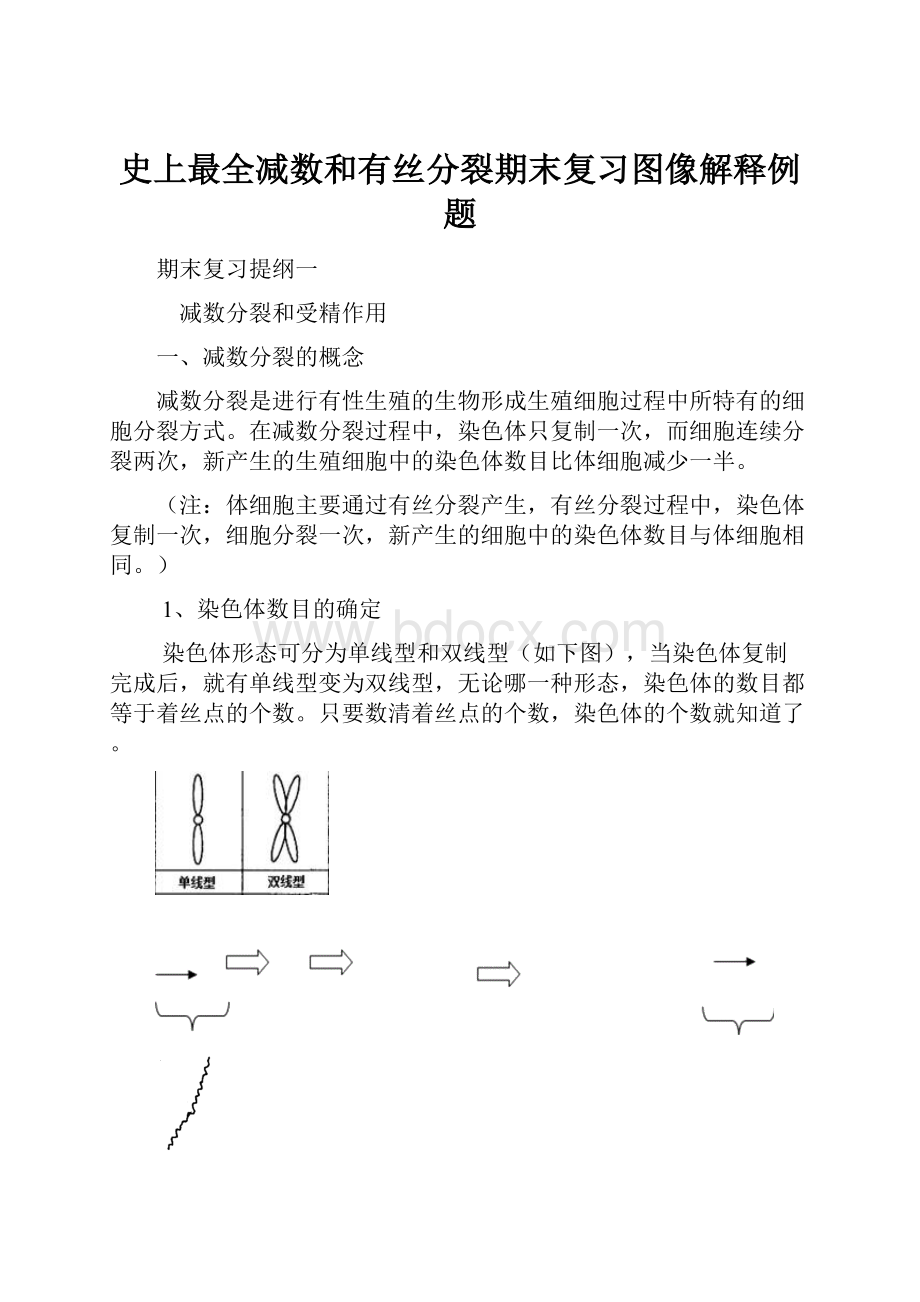 史上最全减数和有丝分裂期末复习图像解释例题.docx