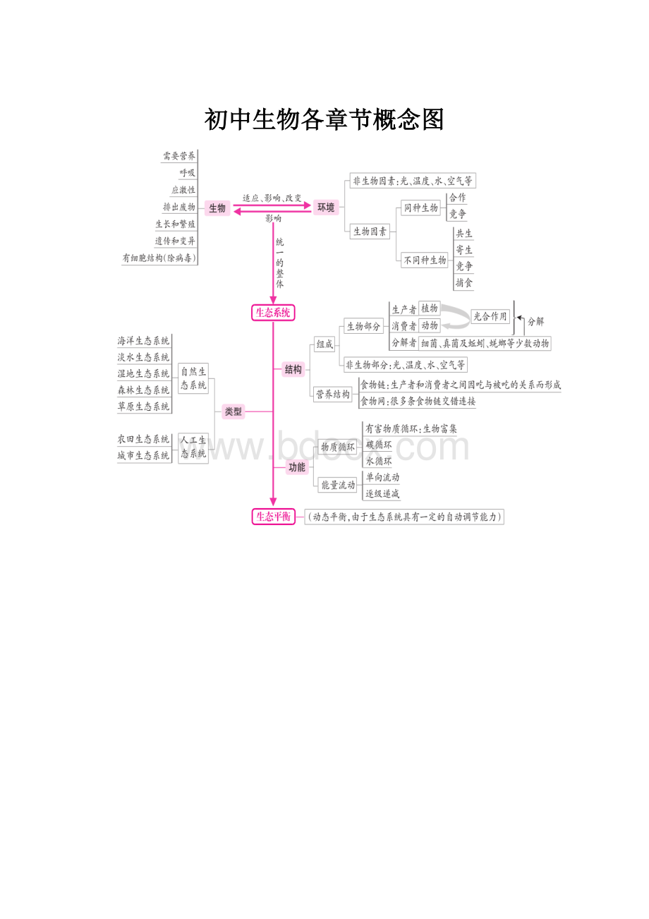 初中生物各章节概念图.docx