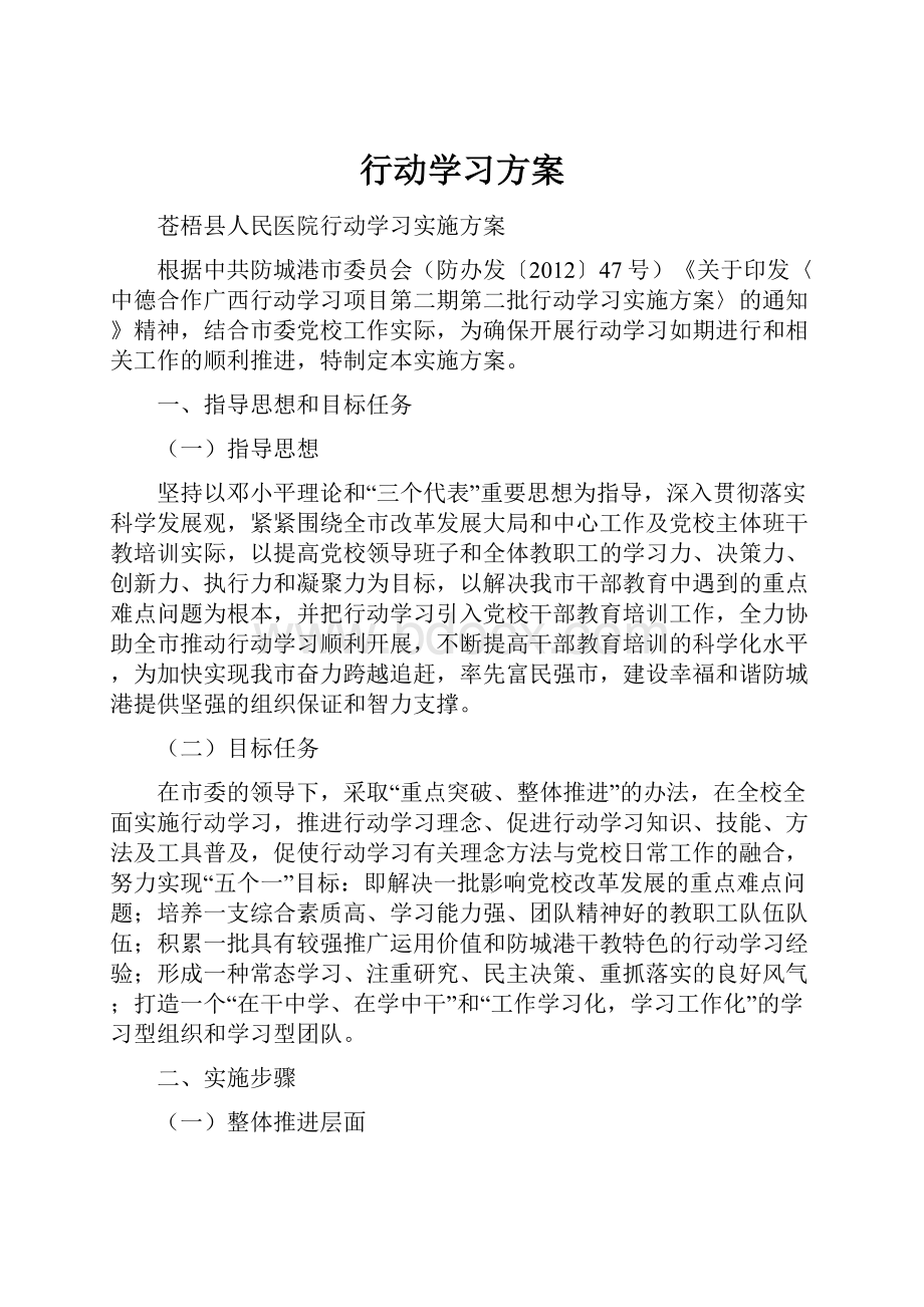 行动学习方案.docx