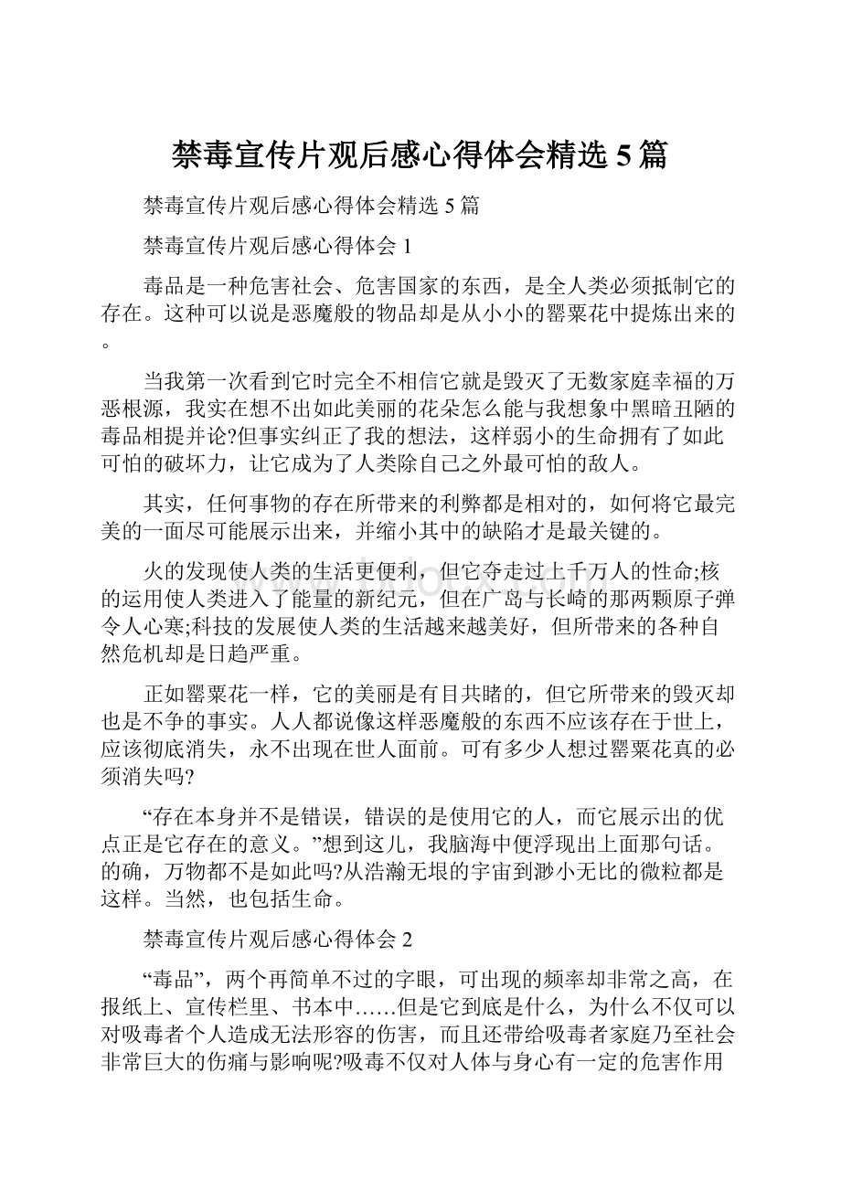 禁毒宣传片观后感心得体会精选5篇.docx