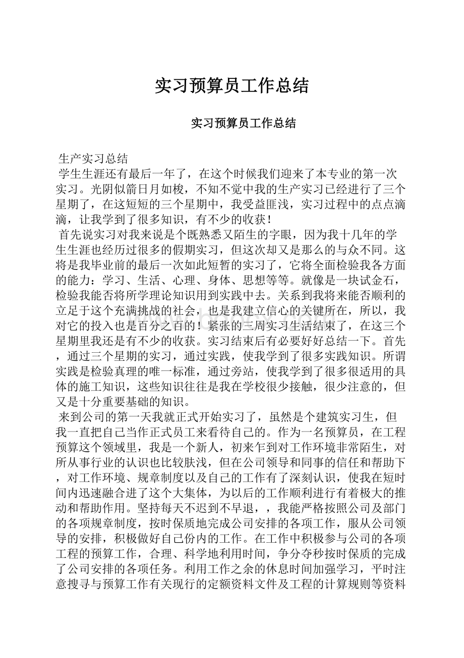 实习预算员工作总结.docx