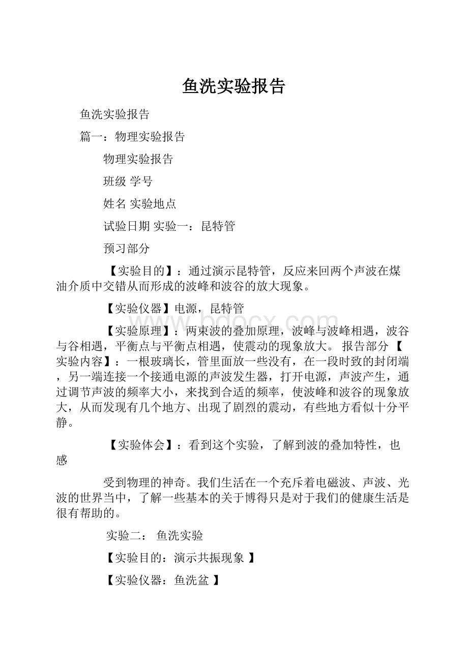 鱼洗实验报告.docx