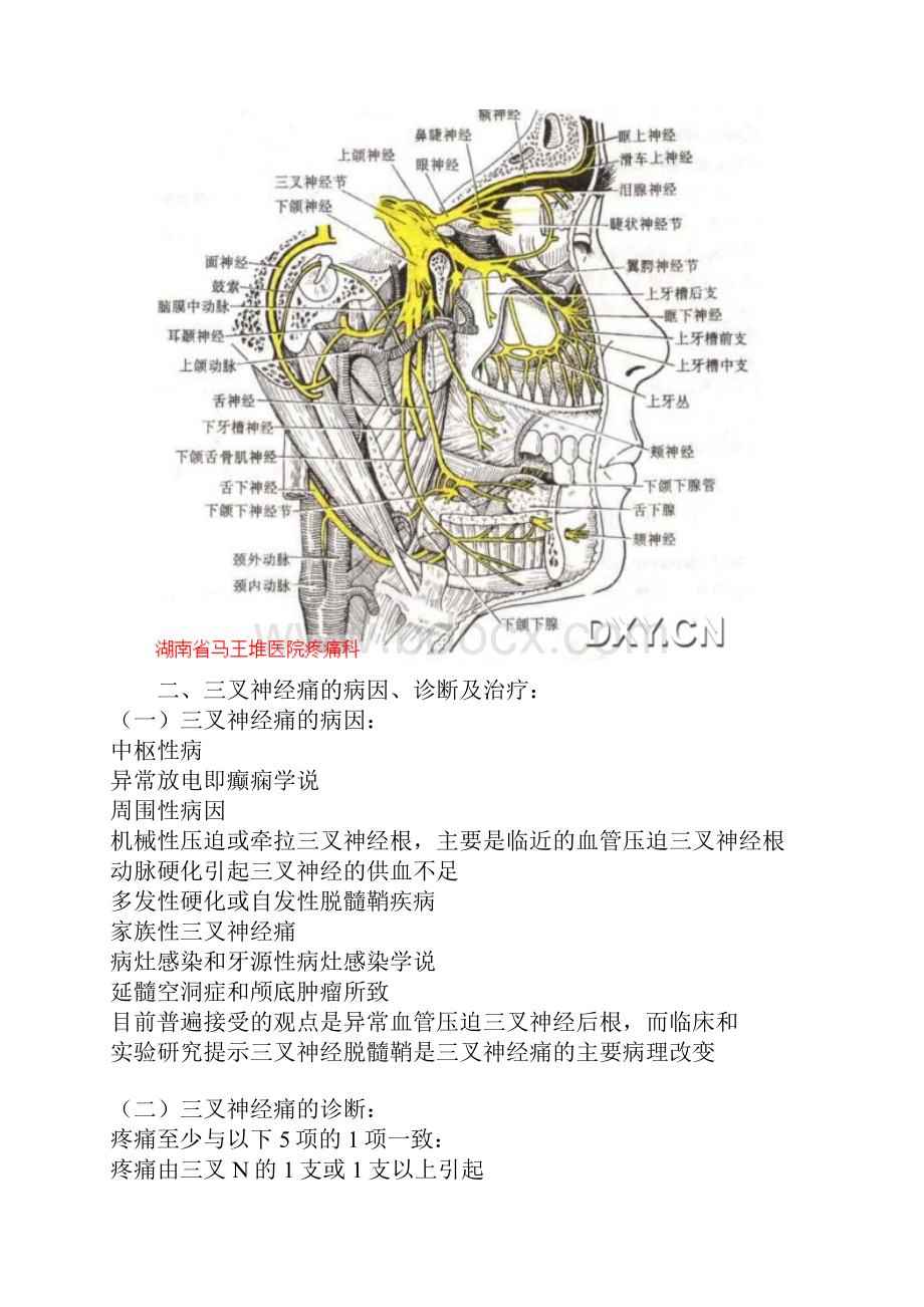 三叉神经的解剖.docx_第3页