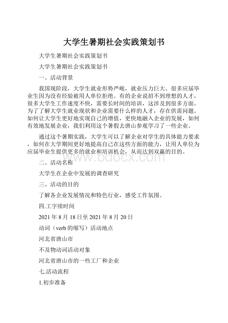 大学生暑期社会实践策划书.docx