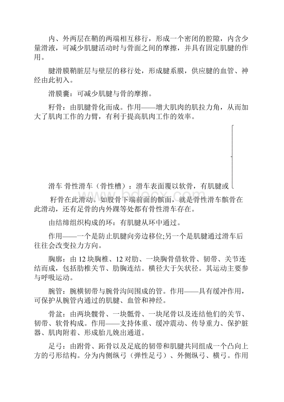 北京体育大学运动解剖学复习资料.docx_第3页