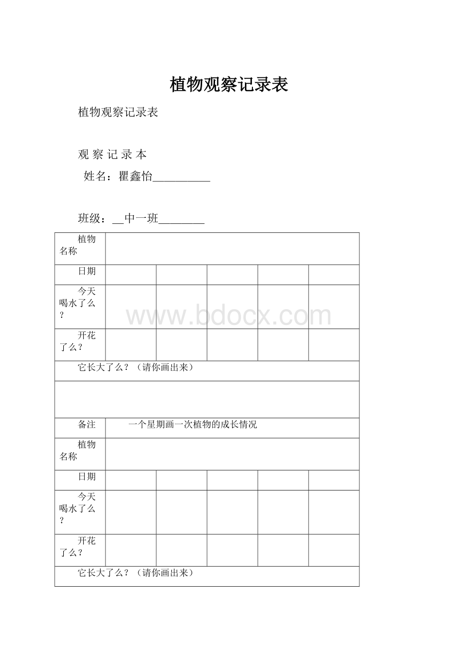 植物观察记录表.docx