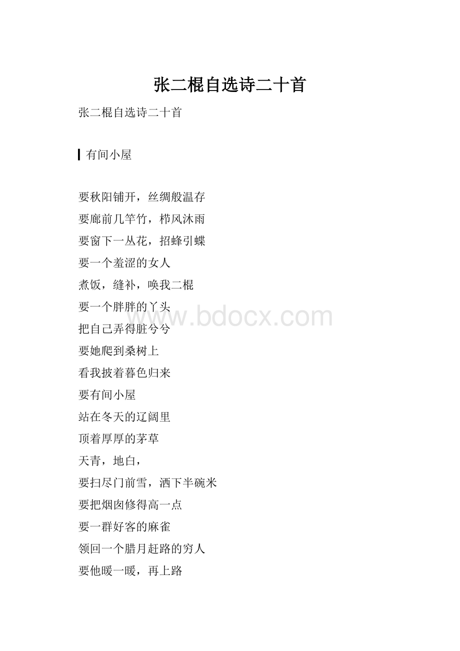 张二棍自选诗二十首.docx_第1页