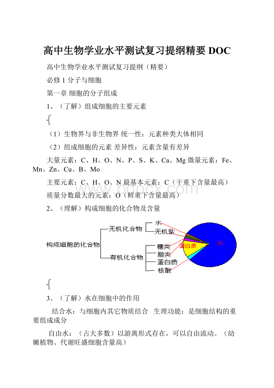 高中生物学业水平测试复习提纲精要DOC.docx