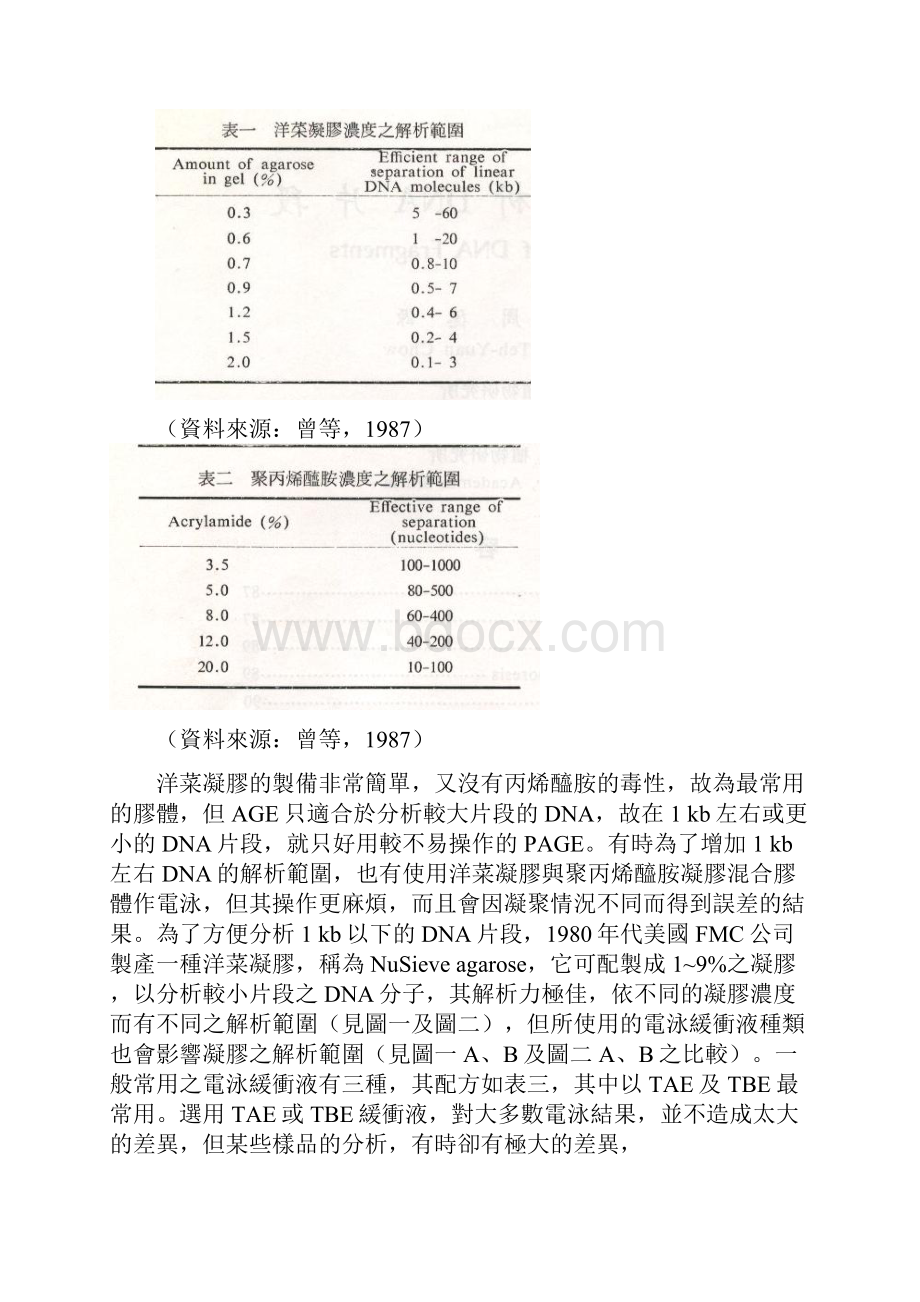 胶体电泳分析DNA片段.docx_第2页