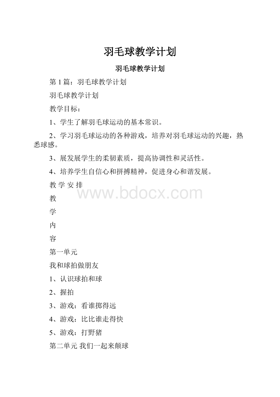 羽毛球教学计划.docx