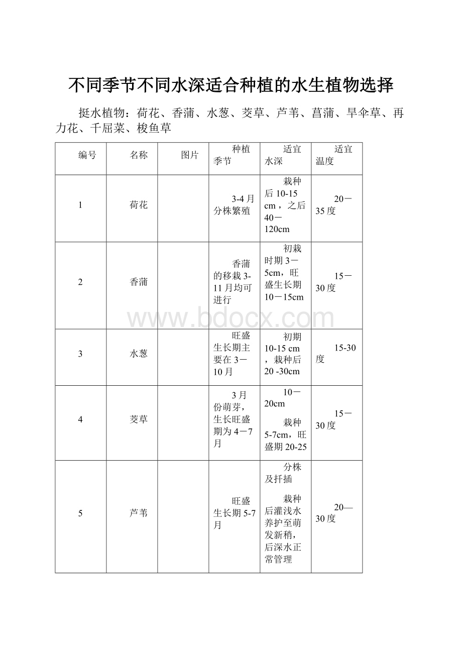 不同季节不同水深适合种植的水生植物选择.docx_第1页