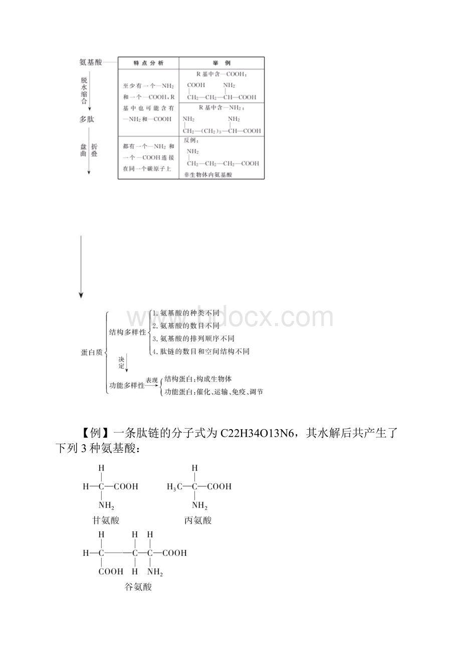 版生物一轮精品复习学案22生命活动的主要承担者蛋白质必修1.docx_第3页