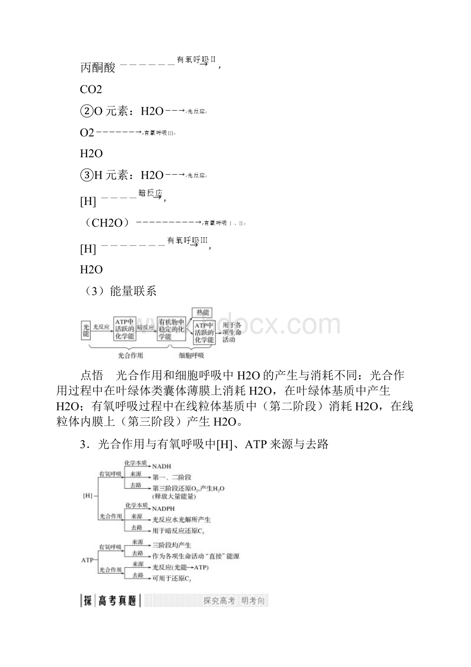 光合作用与呼吸作用的关系.docx_第2页