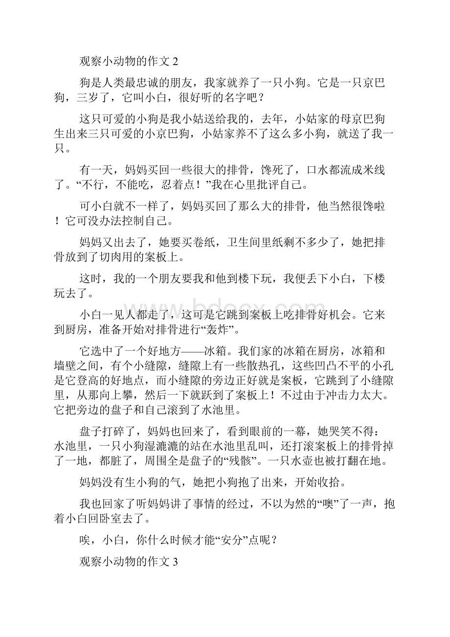 观察小动物的作文15篇.docx_第2页