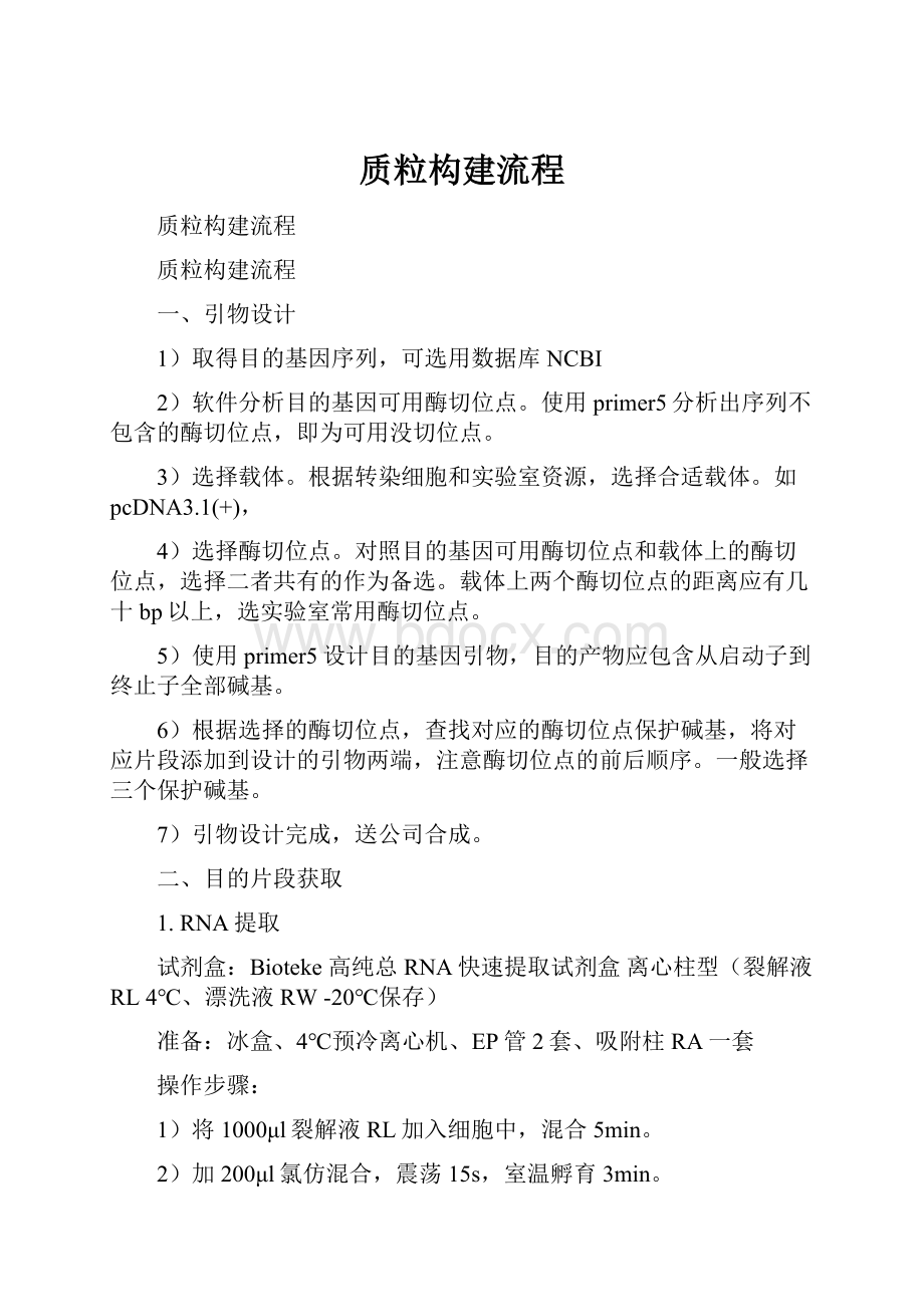 质粒构建流程.docx