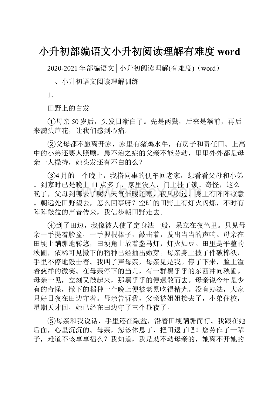 小升初部编语文小升初阅读理解有难度word.docx_第1页