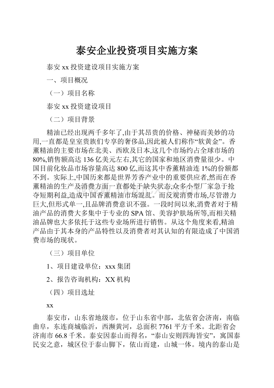 泰安企业投资项目实施方案.docx