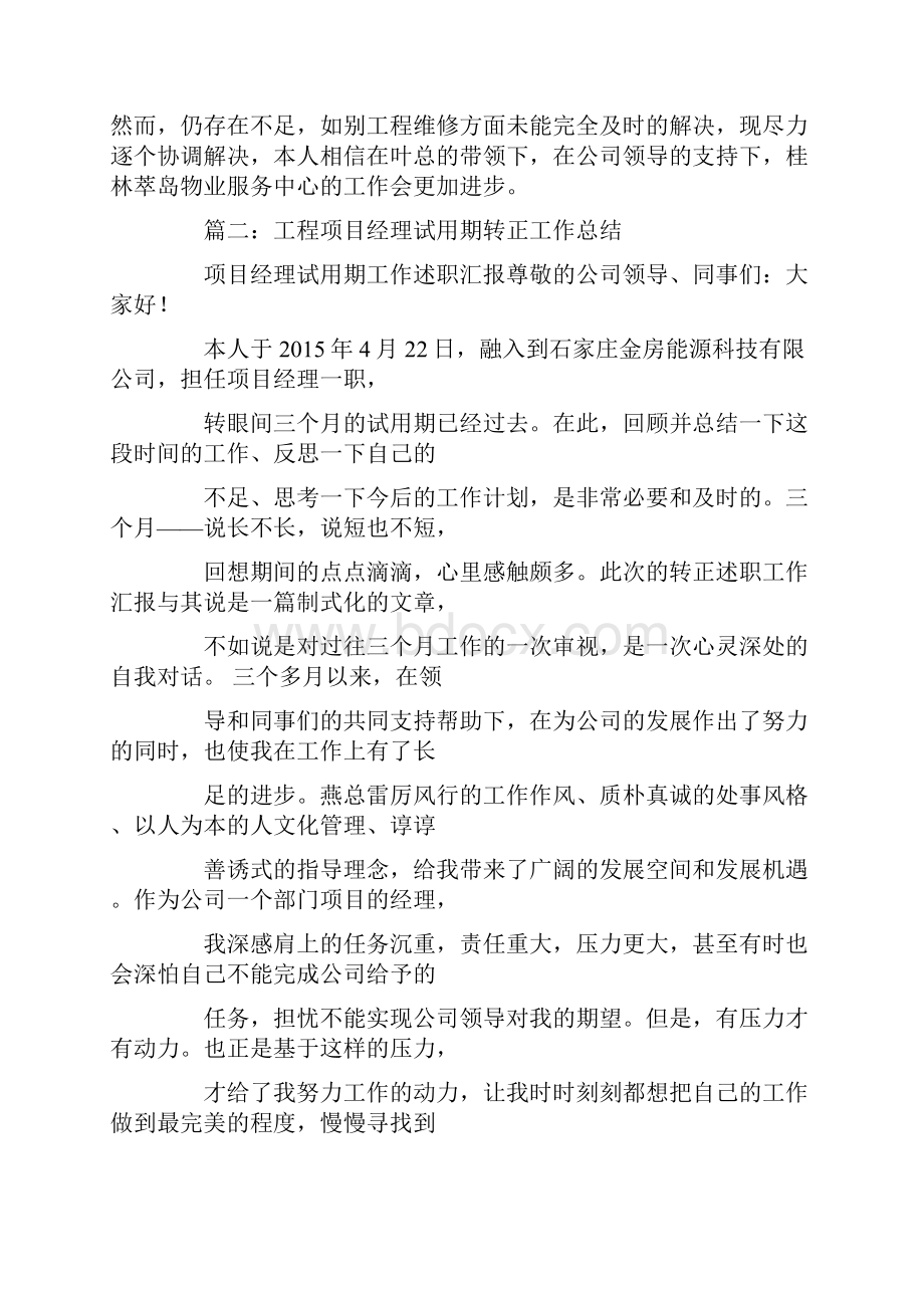 软件项目经理试用期工作总结.docx_第2页