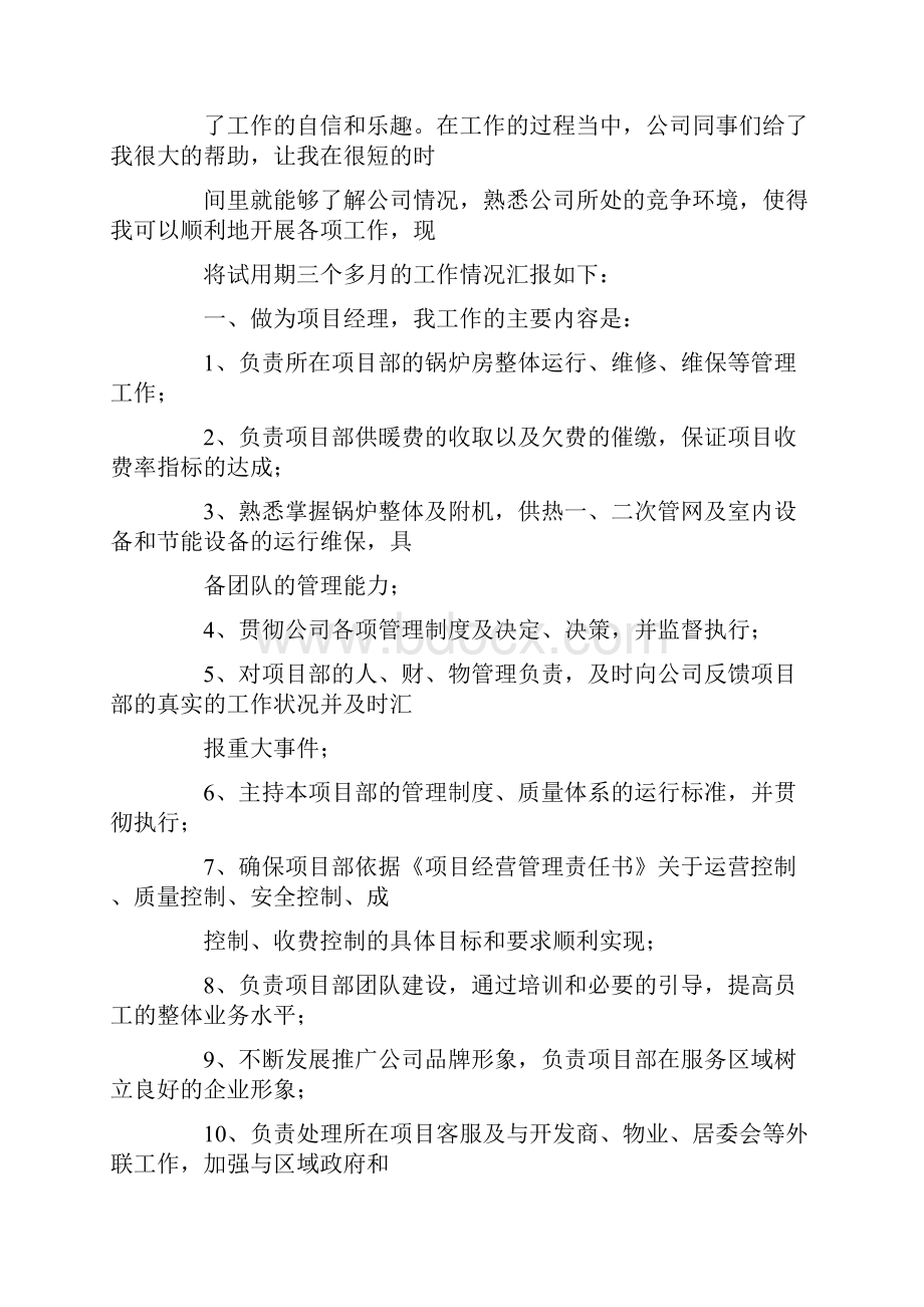 软件项目经理试用期工作总结.docx_第3页