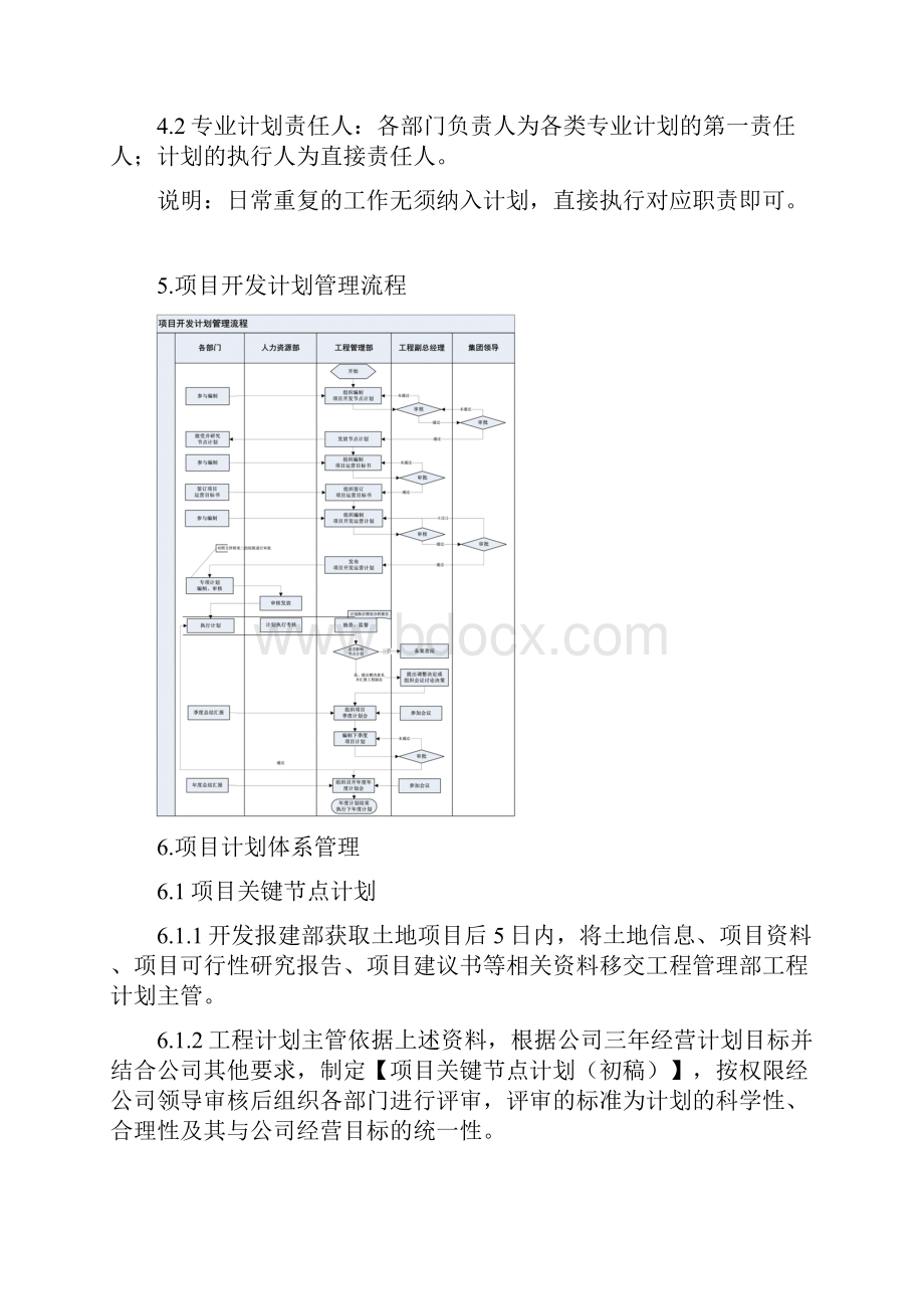 项目开发计划管理流程.docx_第3页