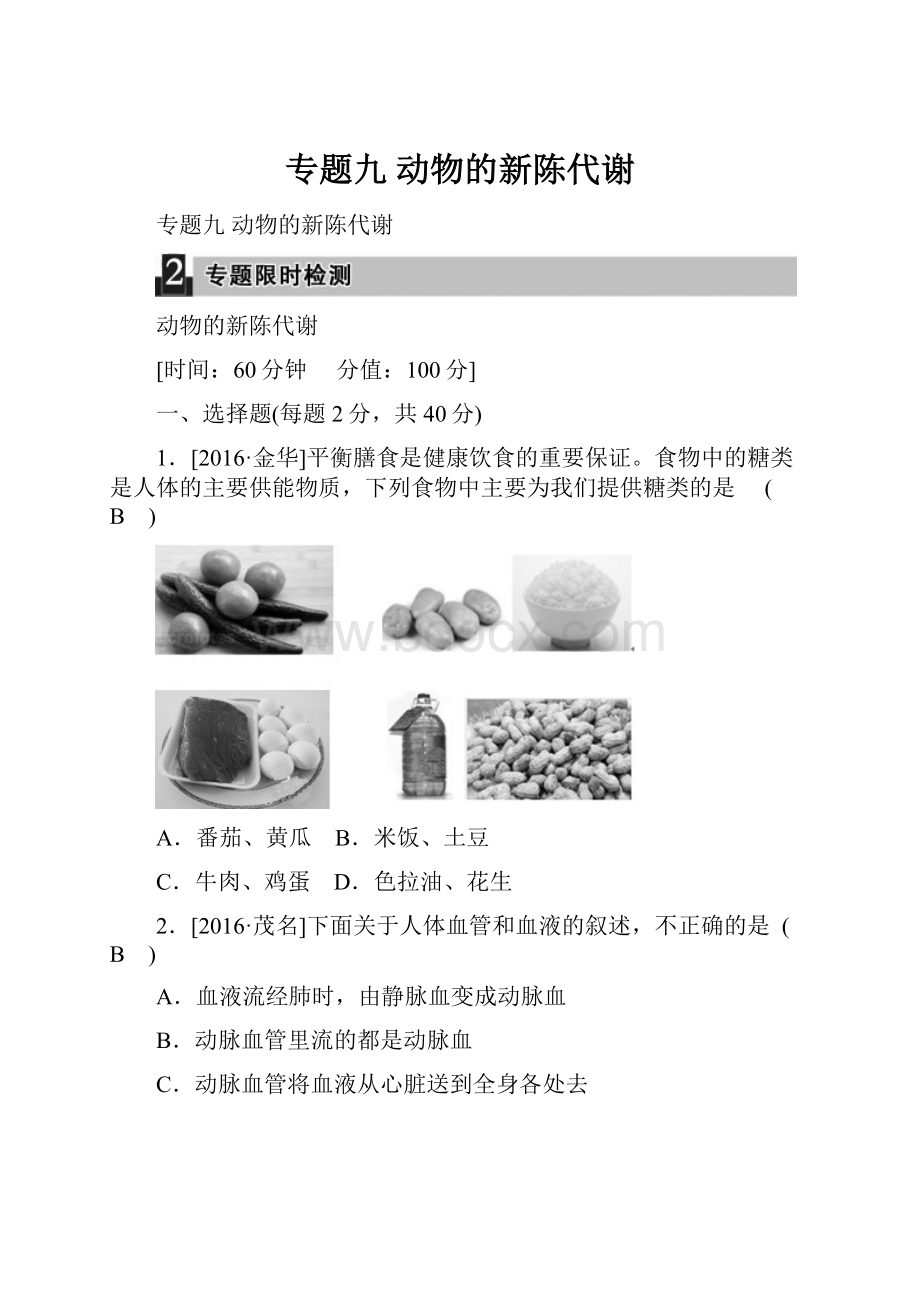 专题九 动物的新陈代谢.docx_第1页