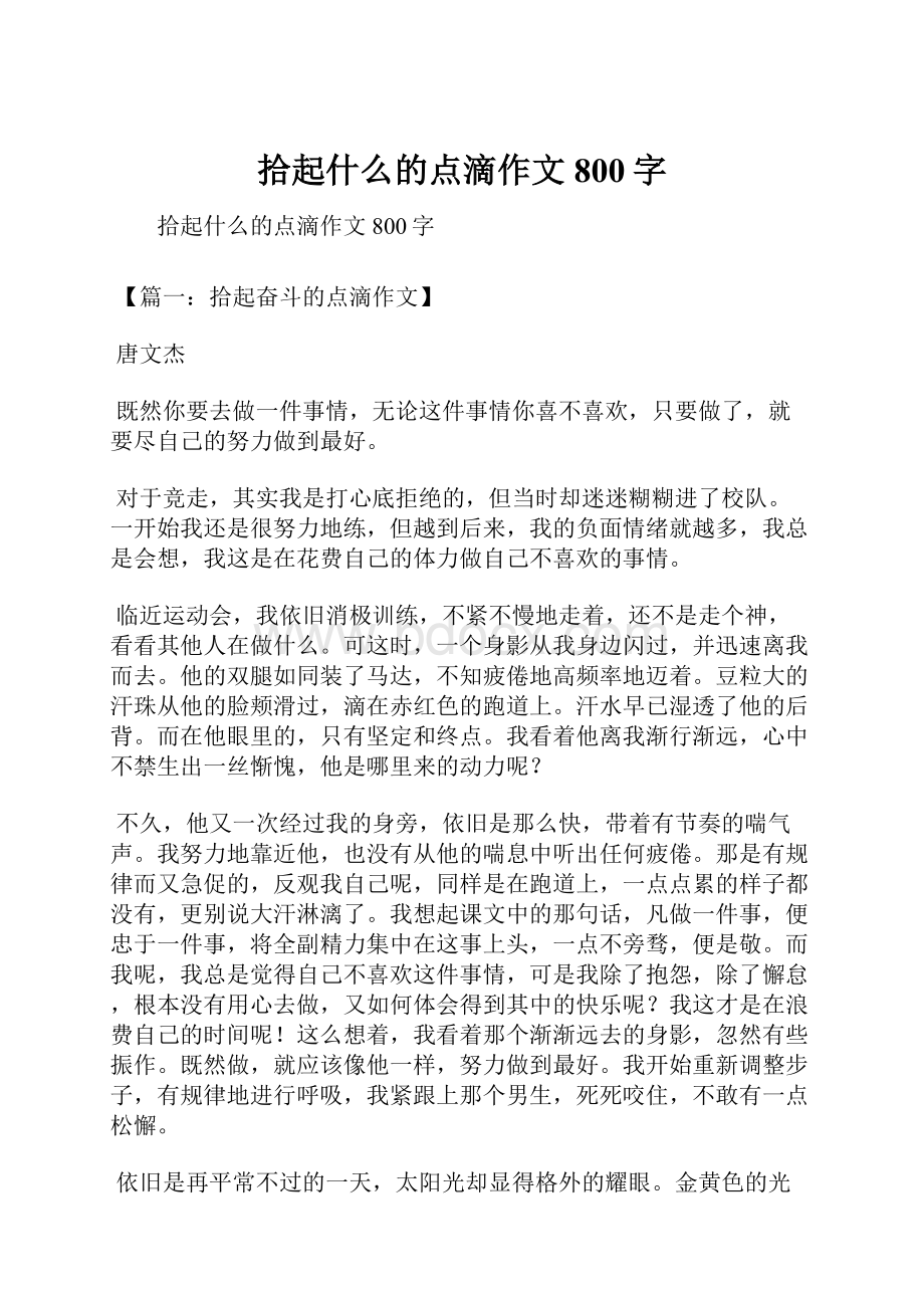 拾起什么的点滴作文800字.docx