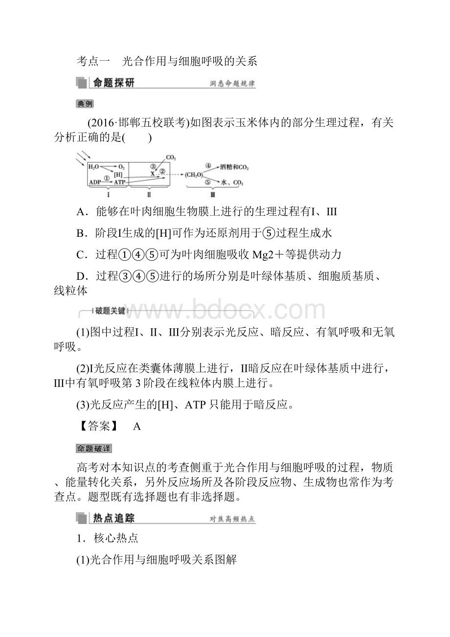 高考生物考前冲刺复习第1部分专题突破方略专题四细胞呼吸与光合作用讲义.docx_第3页